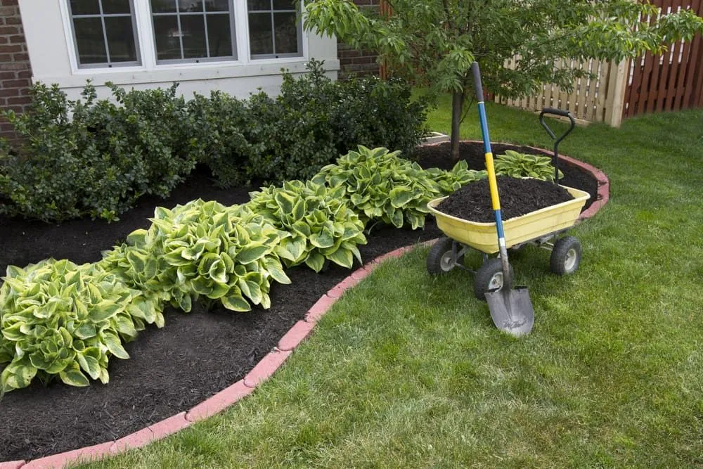 Landscaping in Canberra