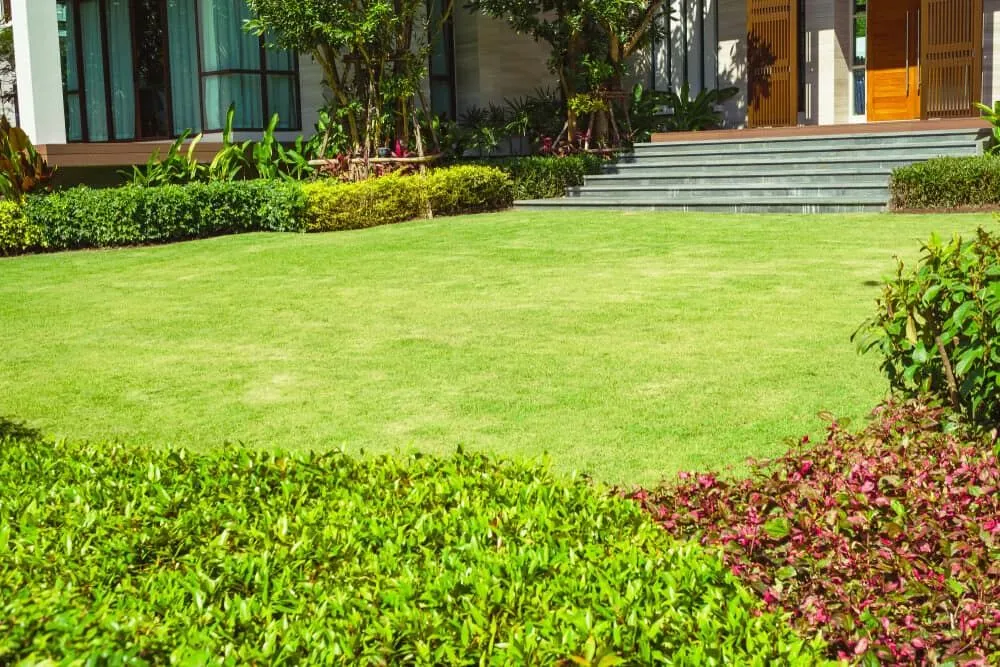 A Large Lush Green Lawn in Front of a House — Ozi Construction Pty Ltd in Balmain, NSW