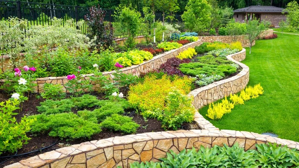 A Garden With Lots of Plants and Flowers and a Stone Wall — Ozi Construction Pty Ltd in Bondi, NSW