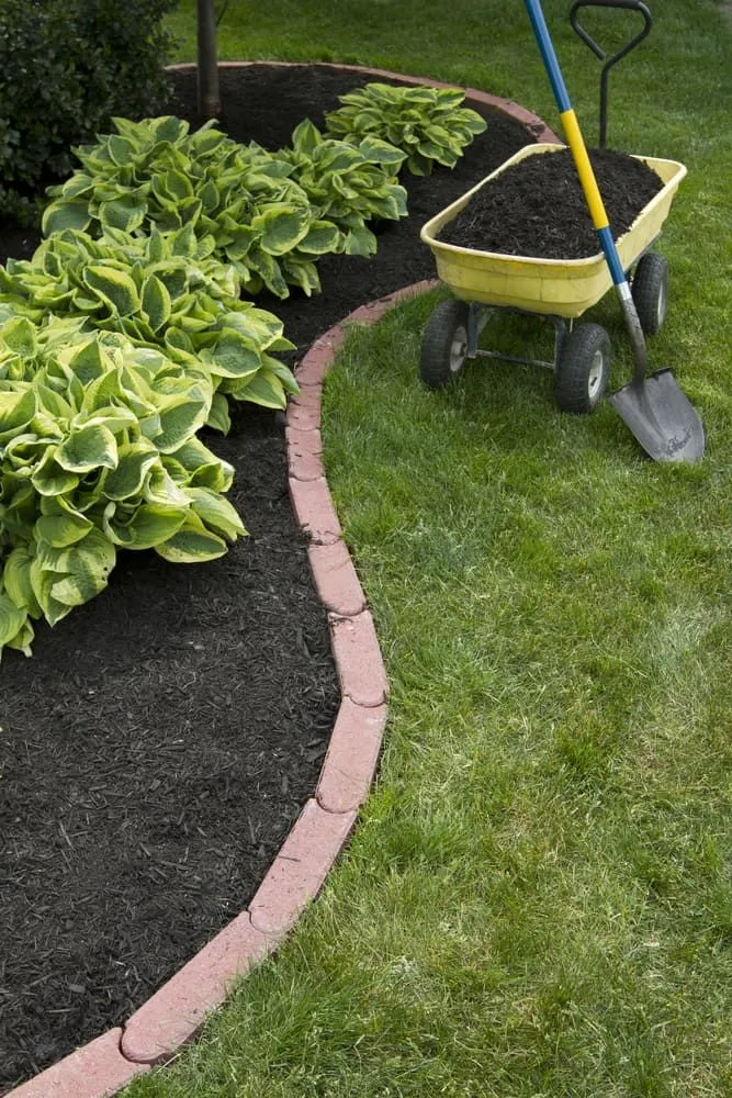 A Wheelbarrow Filled With Dirt and a Shovel in a Garden — Ozi Construction Pty Ltd in North Sydney, NSW
