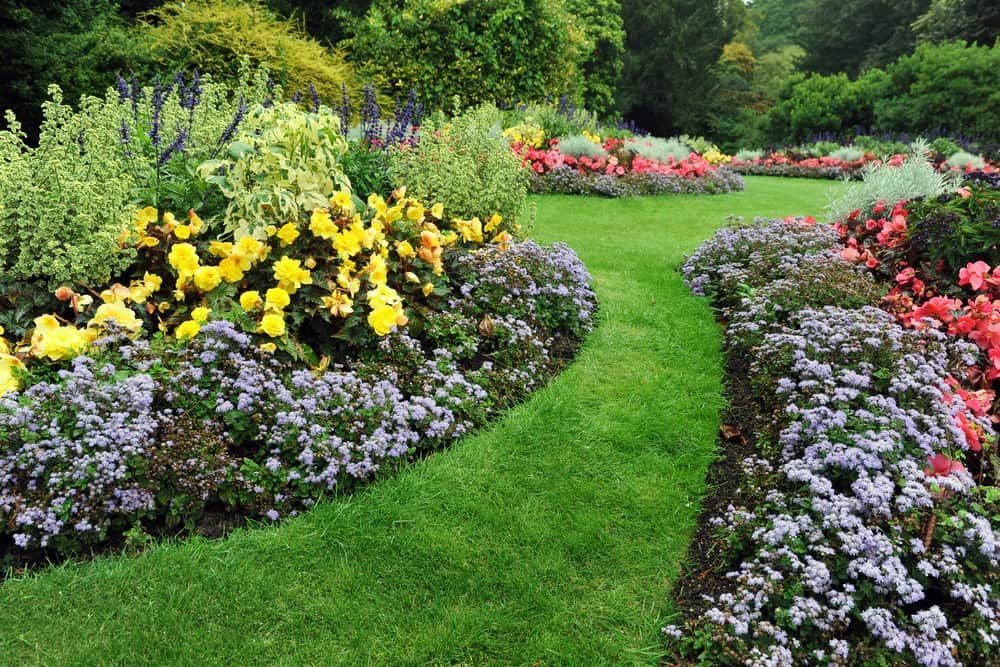 Landscaping in Canberra - Ozi Construction