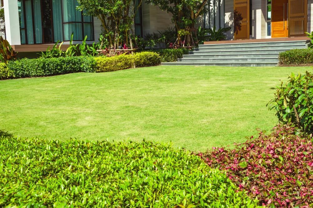 Landscaping in Canberra - Ozi Construction